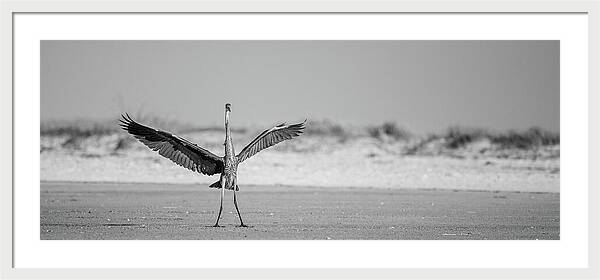 Sovereign - Framed Print