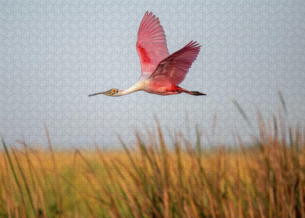 Stick Marsh - Puzzle