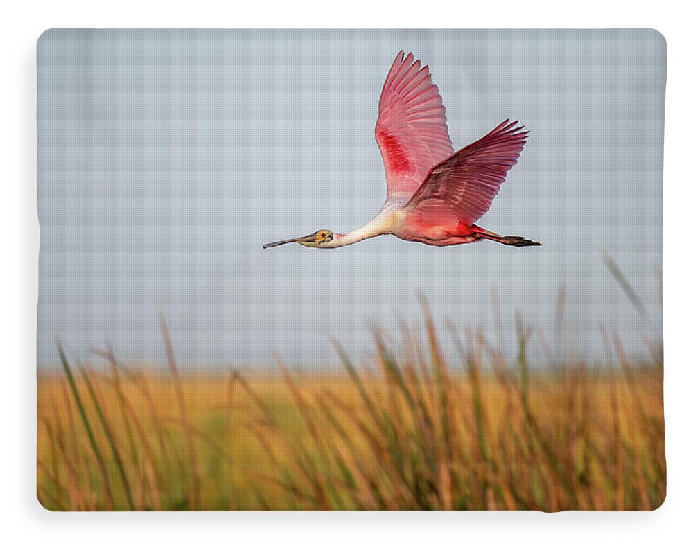 Stick Marsh - Blanket