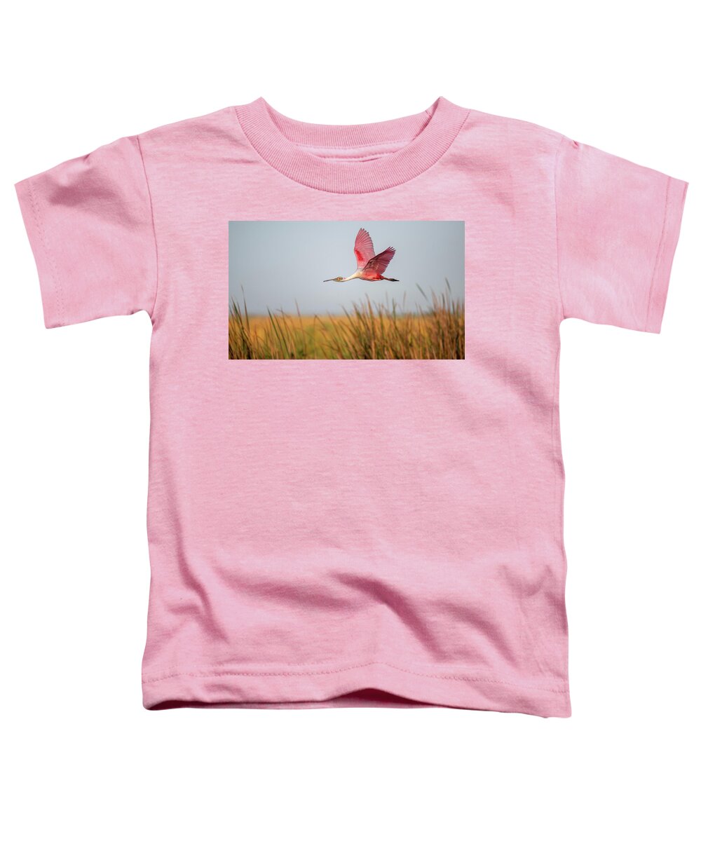 Stick Marsh - Toddler T-Shirt