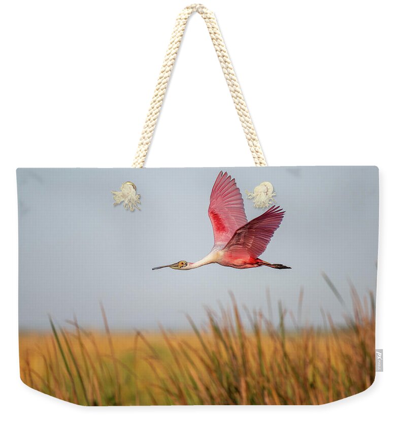 Stick Marsh - Weekender Tote Bag