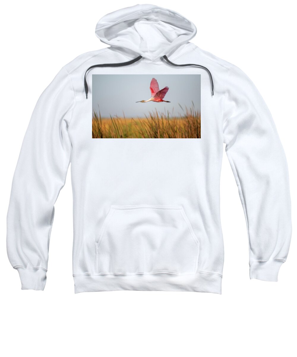Stick Marsh - Sweatshirt