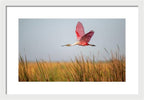 Stick Marsh - Framed Print