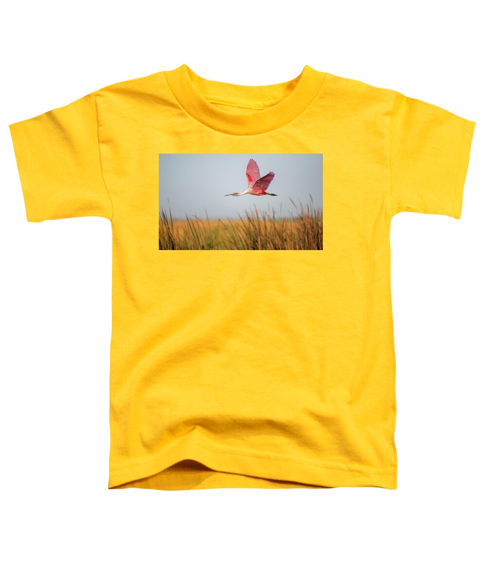 Stick Marsh - Toddler T-Shirt