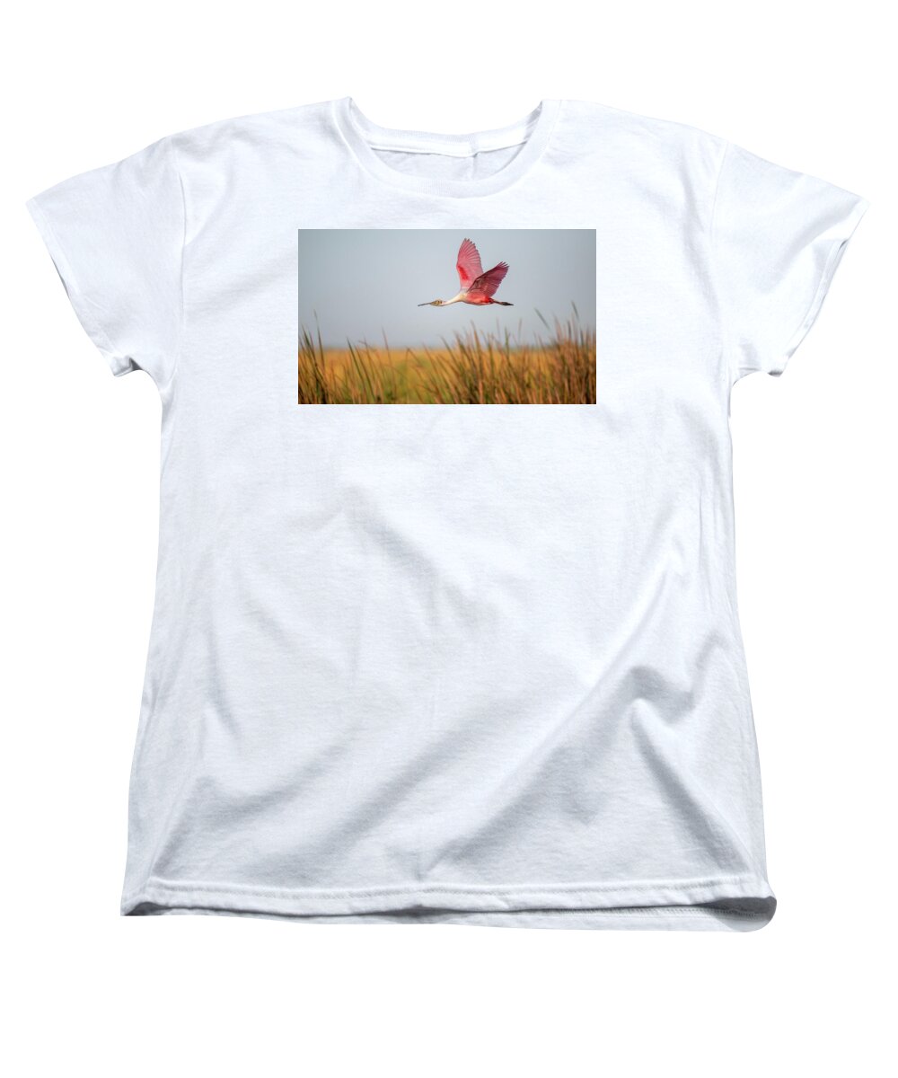 Stick Marsh - Women's T-Shirt (Standard Fit)