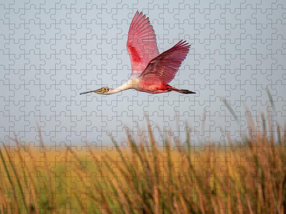 Stick Marsh - Puzzle