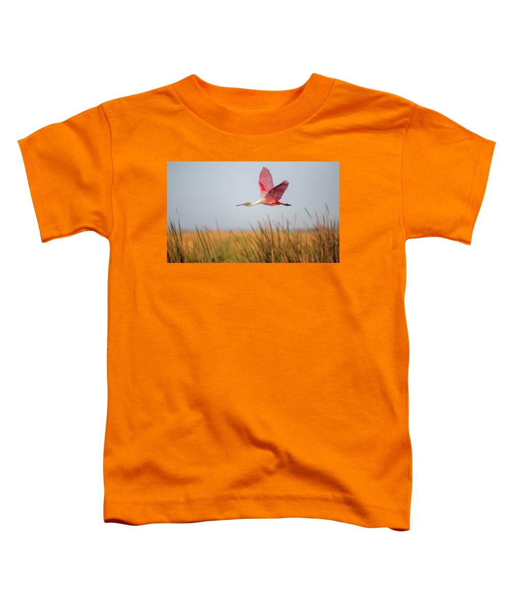 Stick Marsh - Toddler T-Shirt