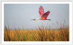 Stick Marsh - Framed Print