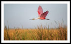 Stick Marsh - Framed Print