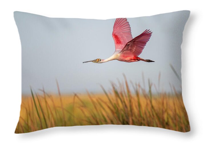 Stick Marsh - Throw Pillow
