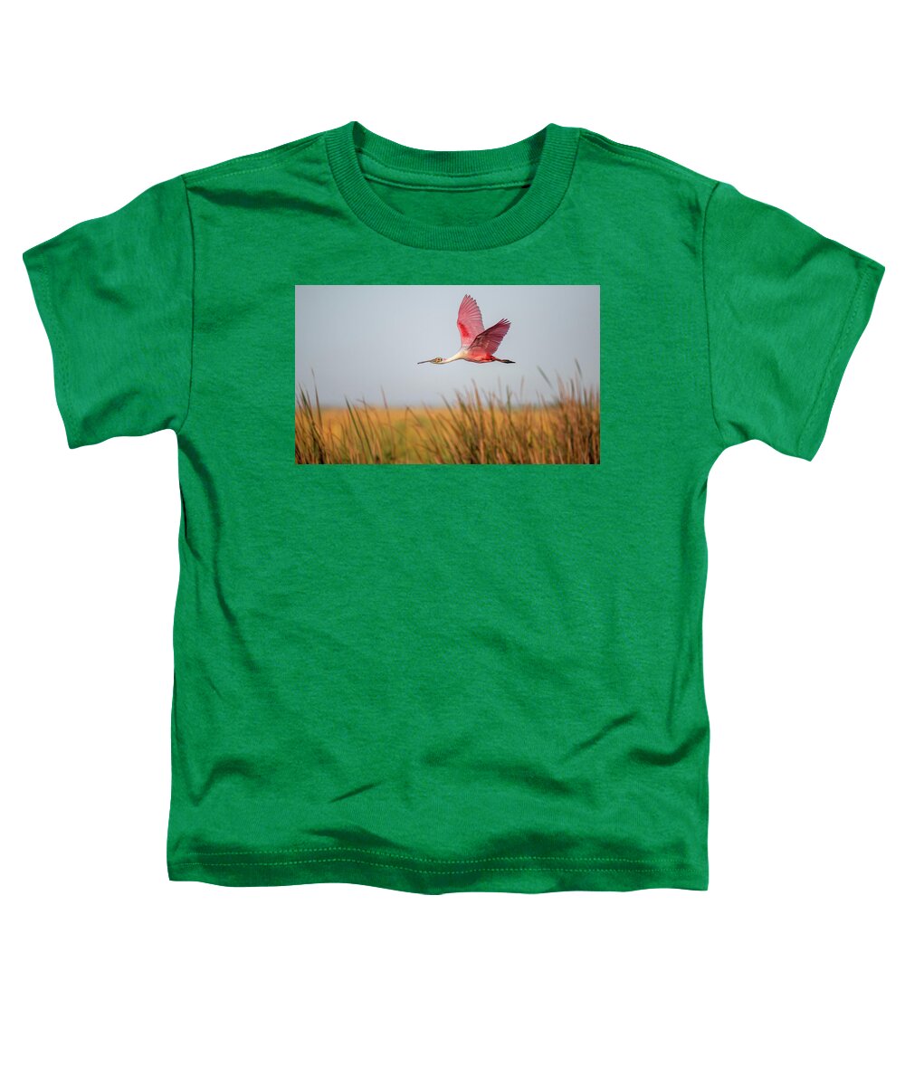 Stick Marsh - Toddler T-Shirt