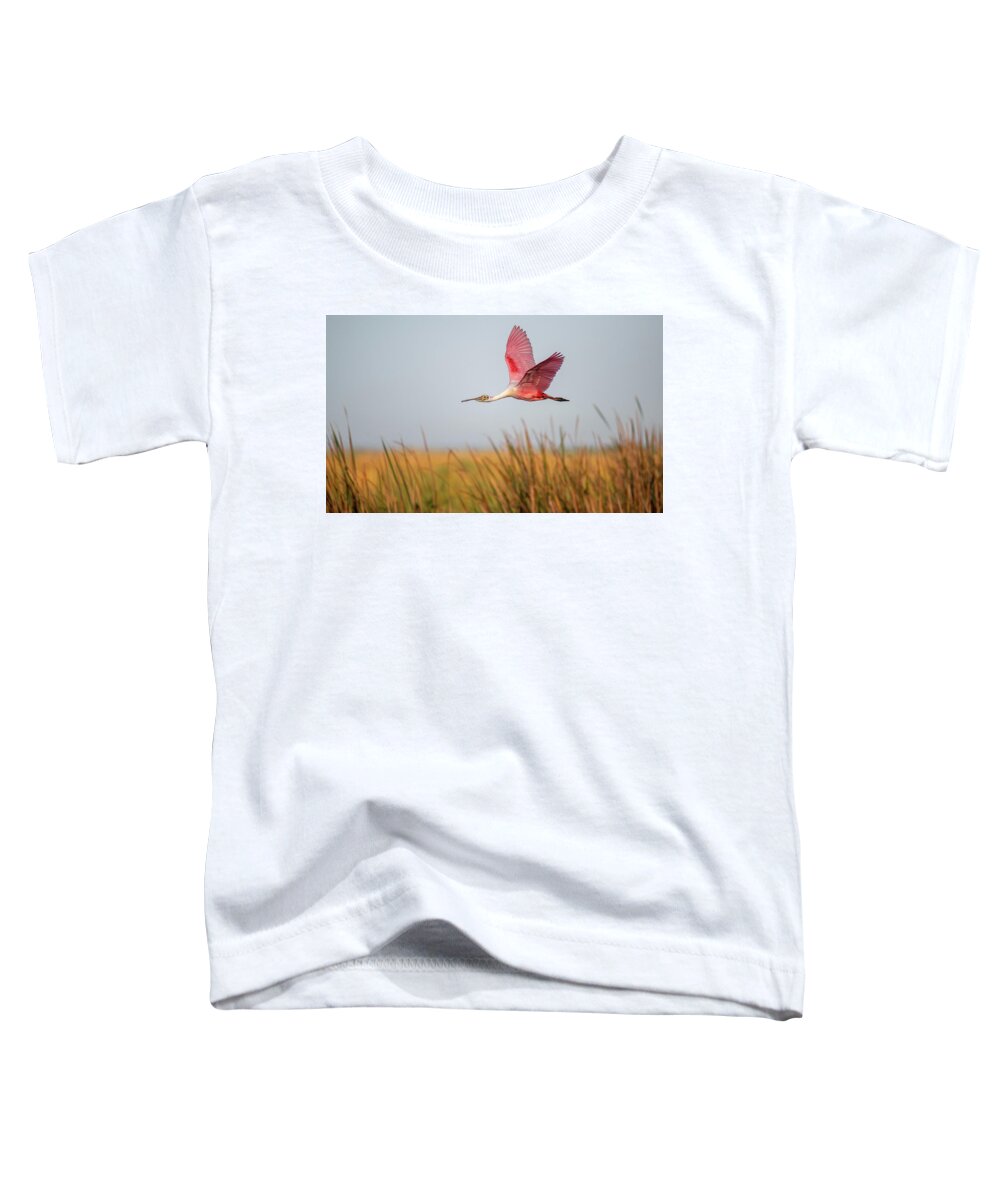 Stick Marsh - Toddler T-Shirt
