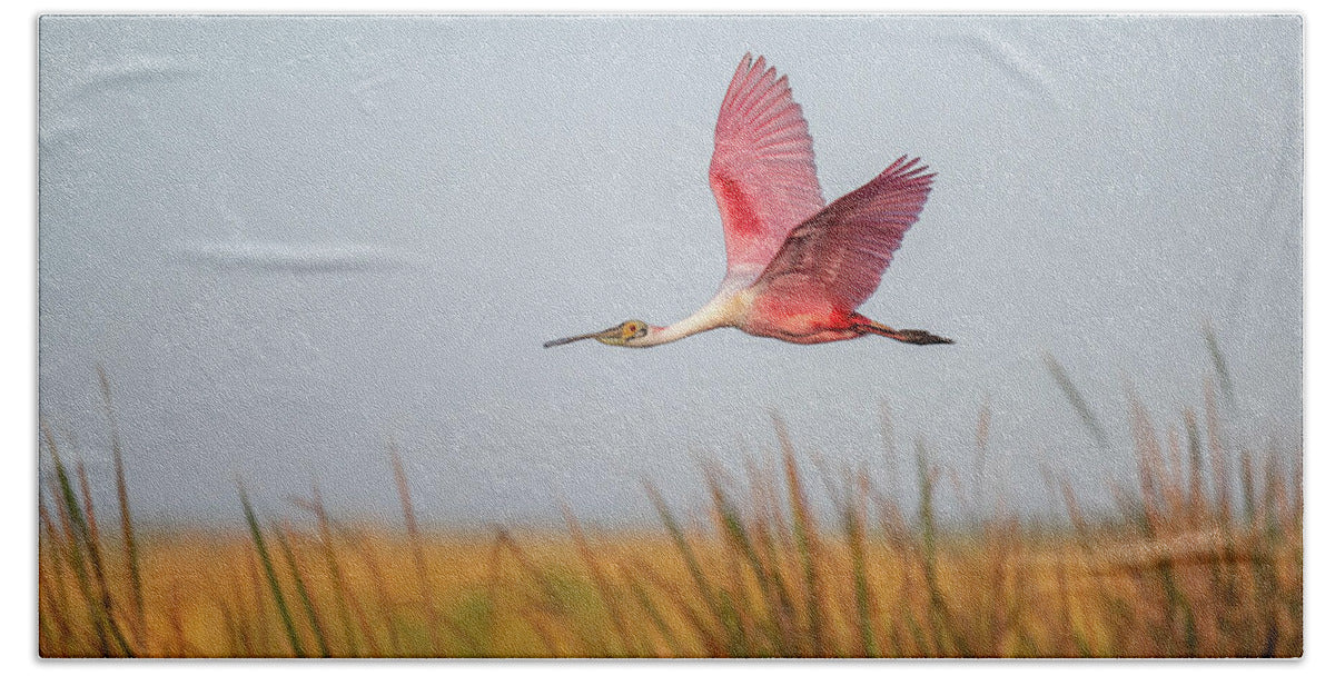 Stick Marsh - Beach Towel