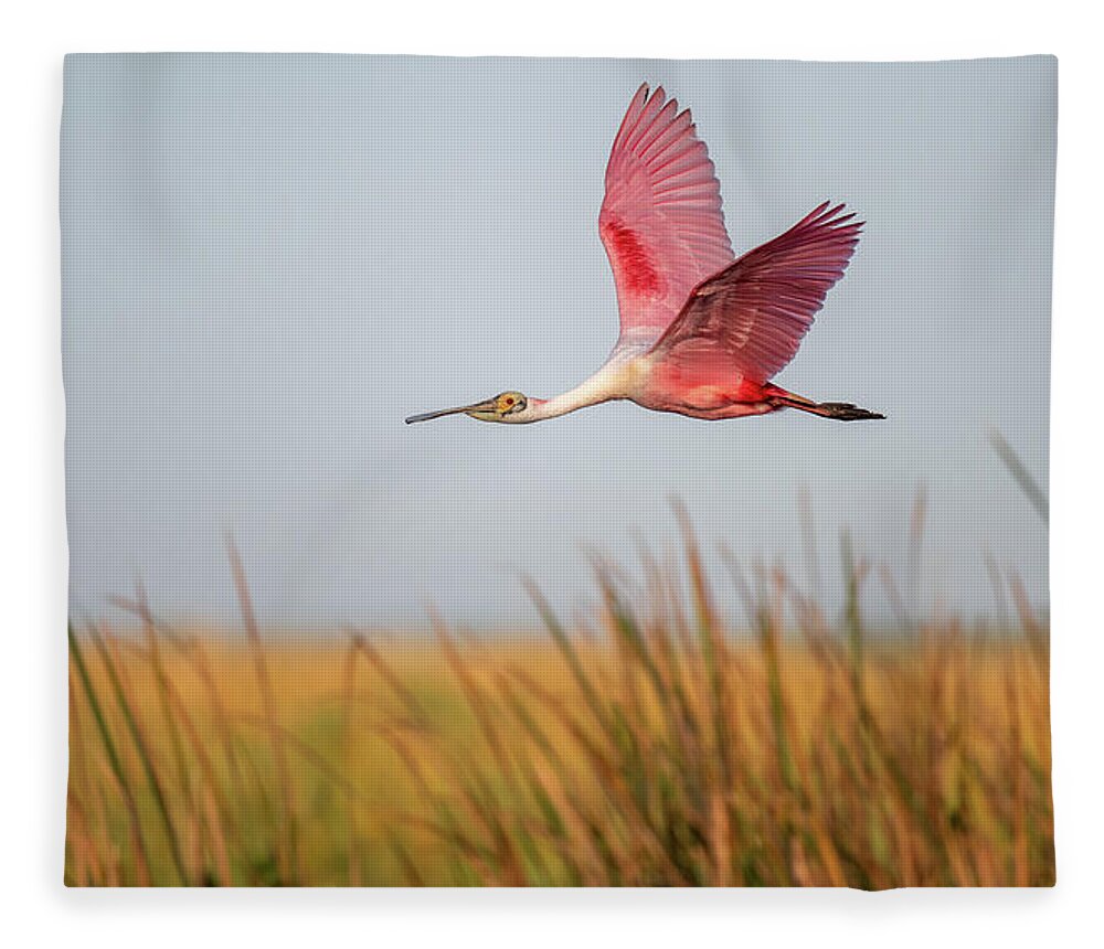 Stick Marsh - Blanket