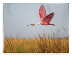 Stick Marsh - Blanket