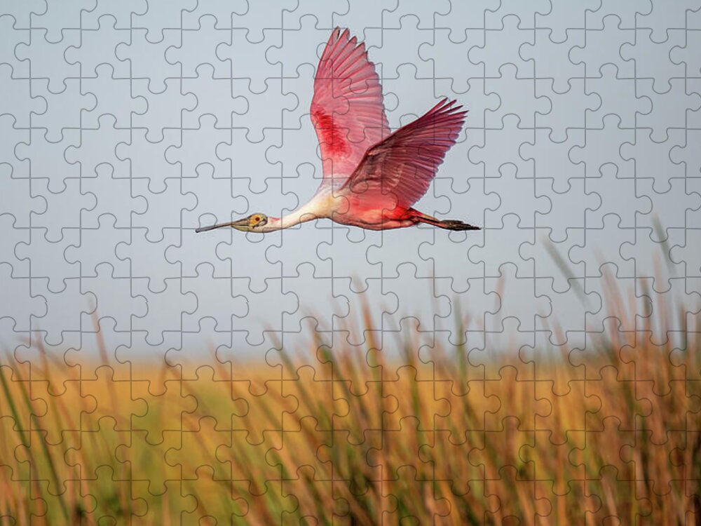 Stick Marsh - Puzzle