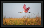 Stick Marsh - Framed Print