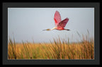 Stick Marsh - Framed Print