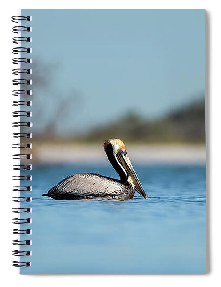 Stillwater - Spiral Notebook