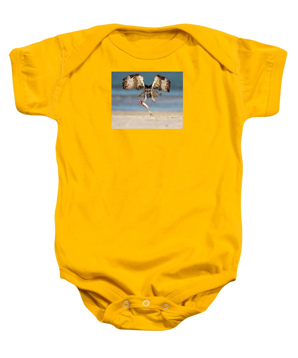 Talon and Tide - Baby One-Piece
