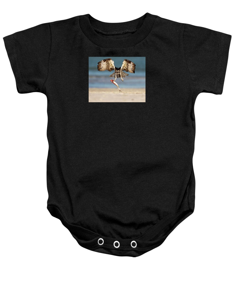 Talon and Tide - Baby One-Piece