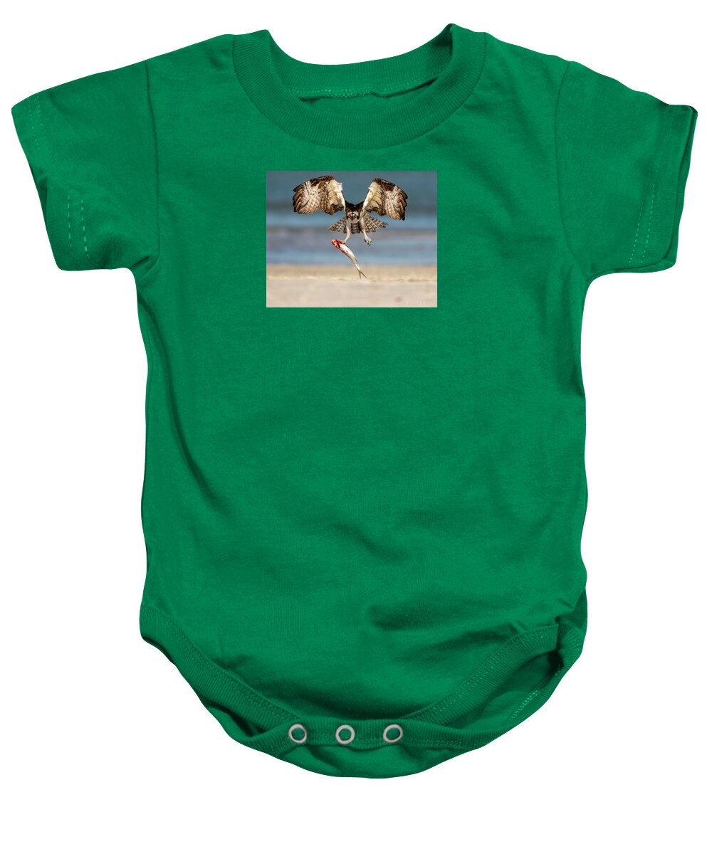 Talon and Tide - Baby One-Piece