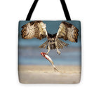 Talon and Tide - Tote Bag