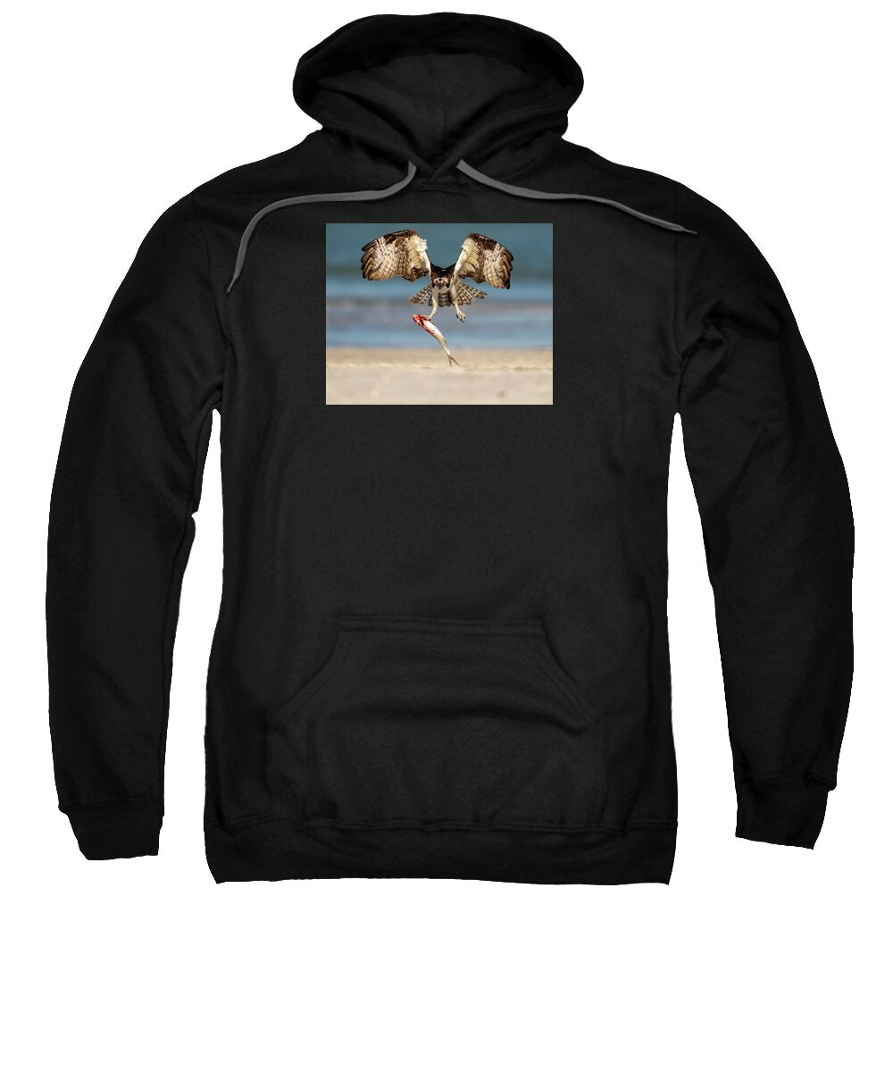 Talon and Tide - Sweatshirt