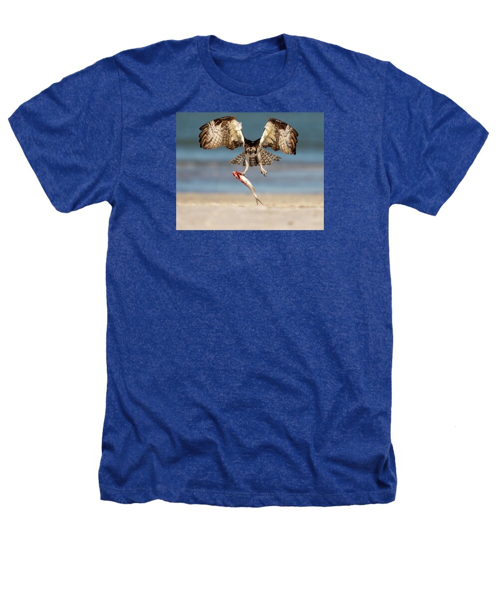 Talon and Tide - Heathers T-Shirt