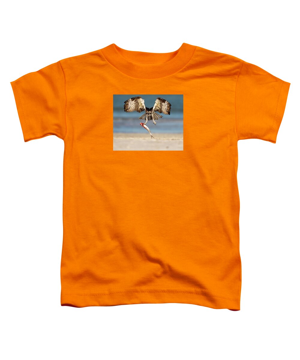 Talon and Tide - Toddler T-Shirt