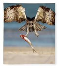 Talon and Tide - Blanket