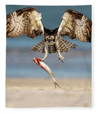 Talon and Tide - Blanket