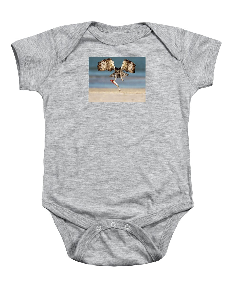 Talon and Tide - Baby One-Piece