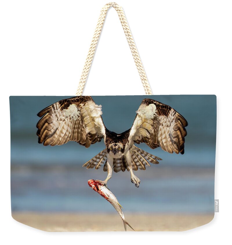 Talon and Tide - Weekender Tote Bag