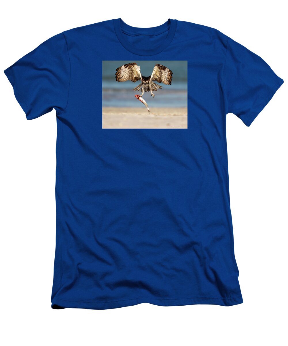 Talon and Tide - T-Shirt