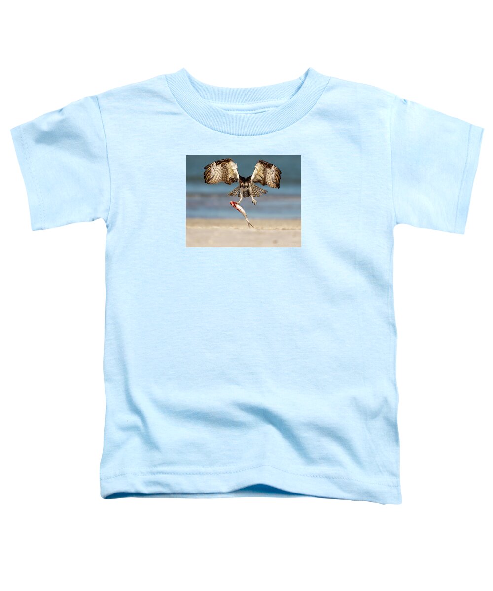 Talon and Tide - Toddler T-Shirt