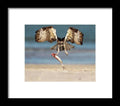 Talon and Tide - Framed Print