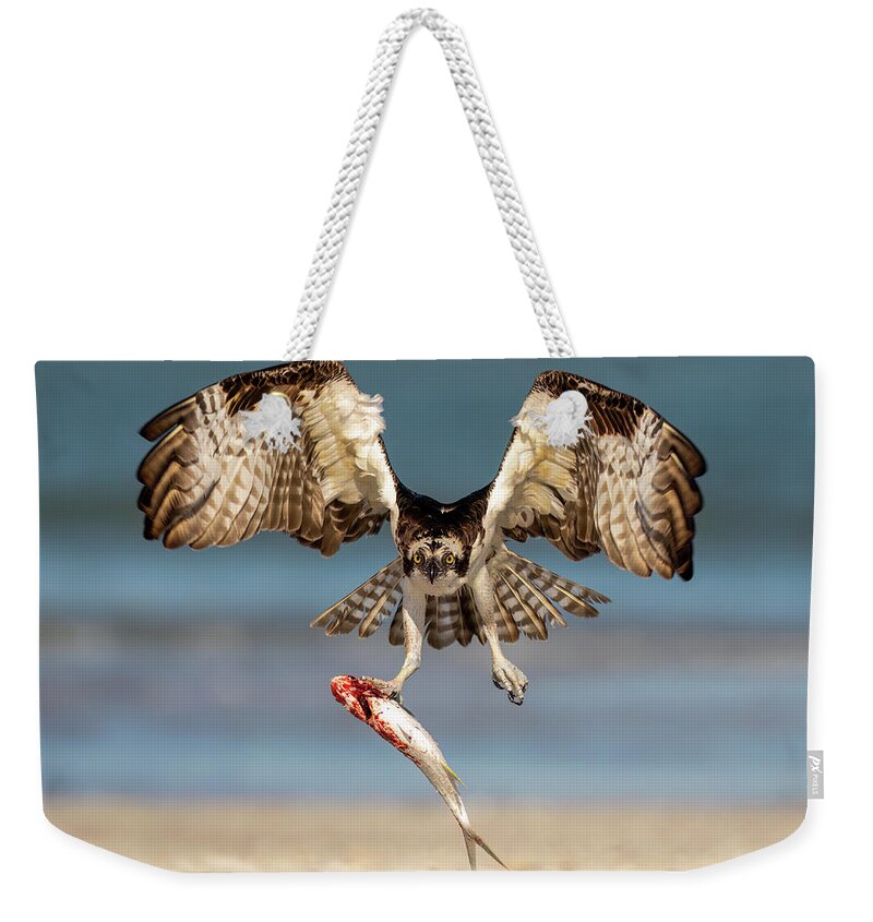 Talon and Tide - Weekender Tote Bag
