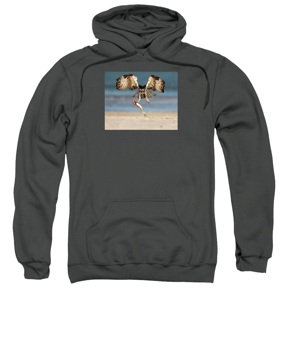 Talon and Tide - Sweatshirt