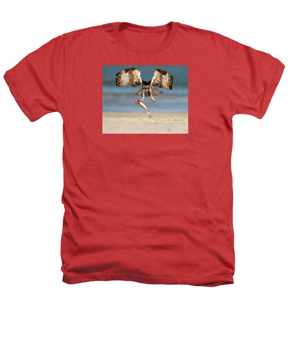 Talon and Tide - Heathers T-Shirt