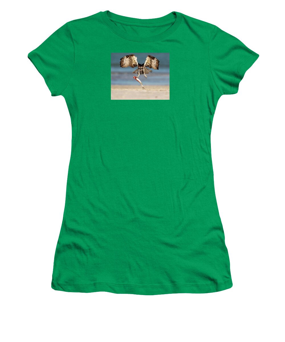 Talon and Tide - Women's T-Shirt