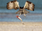 Talon and Tide - Puzzle