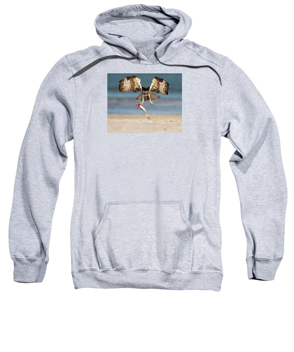 Talon and Tide - Sweatshirt