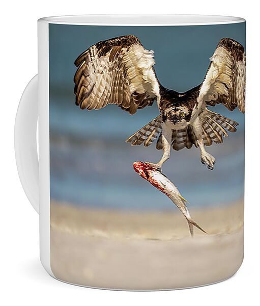 Talon and Tide - Mug