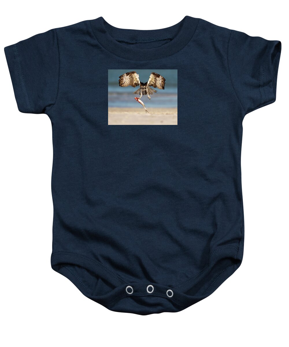 Talon and Tide - Baby One-Piece