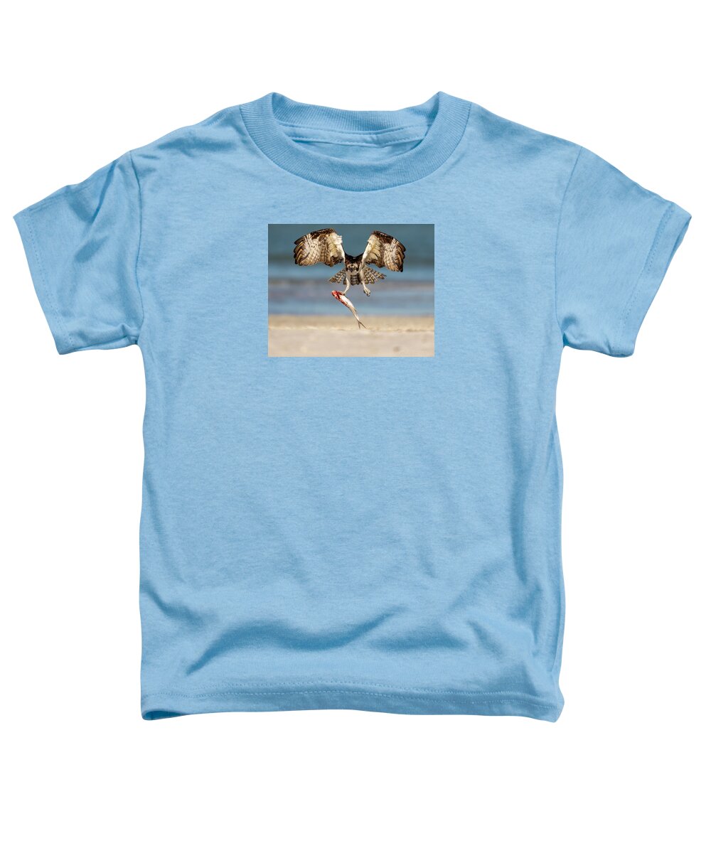 Talon and Tide - Toddler T-Shirt