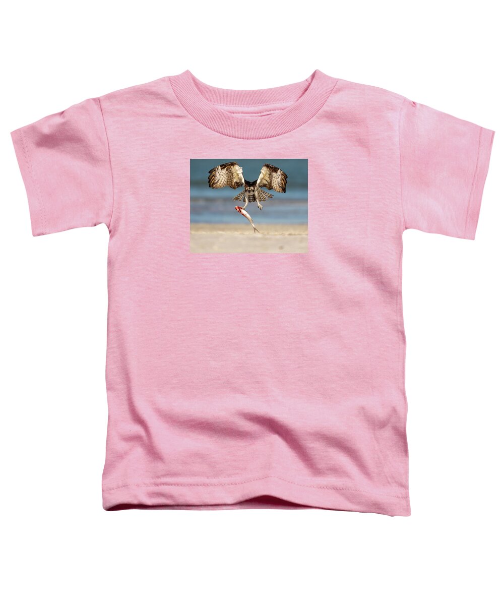 Talon and Tide - Toddler T-Shirt