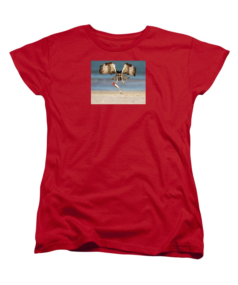 Talon and Tide - Women's T-Shirt (Standard Fit)