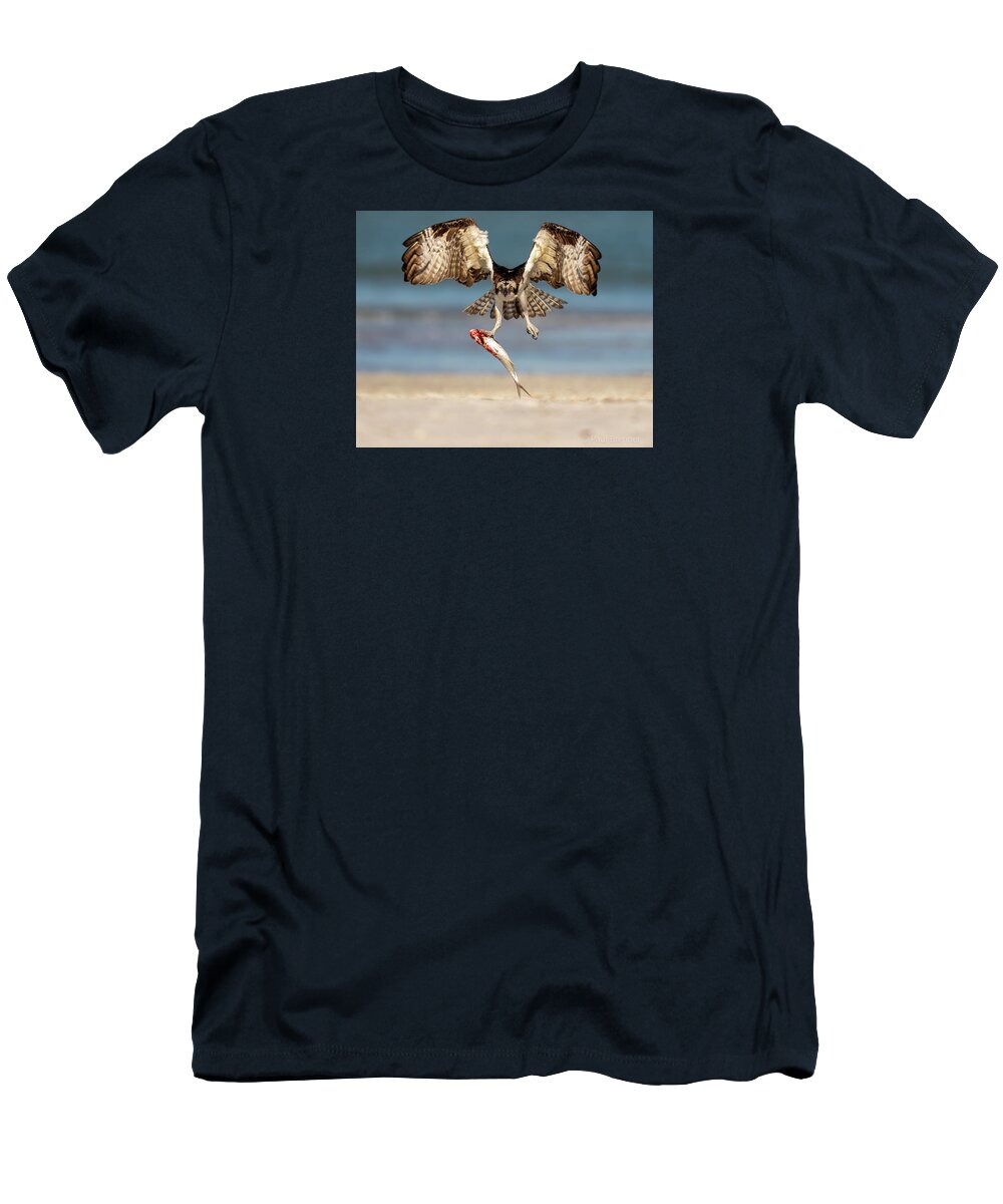 Talon and Tide - T-Shirt