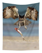 Talon and Tide - Tapestry
